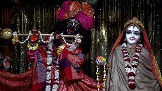 Most Beautiful Mangal Arati Kirtan by HH Lokanath Swami March 3 2019 [upl. by Ploch]