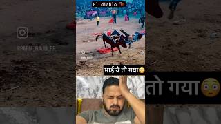 Ho gayi bull riding 😂l shorts youtubeshorts comedy l Mukesh All Rounder [upl. by Cheryl]