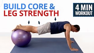 4 Minute Core amp Leg Stability Ball Workout [upl. by Antrim]