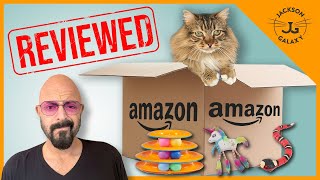 Cat Expert Reviews Bestselling Cat Toys on Amazon [upl. by Aggappe526]