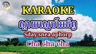 ស្ដាយស្នេហ៍អភ័ព្វ  Sday snea aphorp  Karaoke Cha cha cha ភ្លេងសុទ្ [upl. by Mayes]