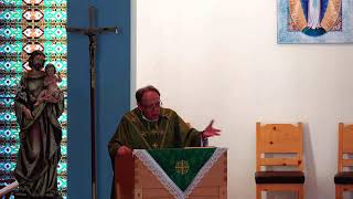 Father DePalmas Homily for the 22nd Sunday in Ordinary Time [upl. by Ecnaret]