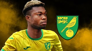 AMANKWAH FORSON  Welcome to Norwich City  2024  Crazy Skills Assists amp Goals HD [upl. by Killion]