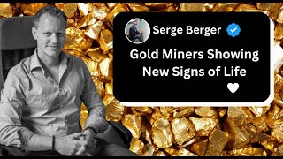 Gold Miners Showing New Signs of Life [upl. by Kerekes]