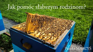 Wzmacnianie słabych rodzin pszczelich w kwietniu [upl. by Ofelia]