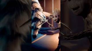 I Am Groot Episode 5 Explained iamgrootreview groot iamgroot shorts ytshorts marvel [upl. by Dody512]