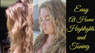 How to Comb in Highlights and Tone Blonde Hair [upl. by Adlemi139]