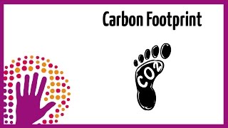 What is a Carbon Footprint [upl. by Addam976]