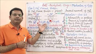 Antiarrhythmic Drugs Part 03 Sodium Channel Blocker Mechanism of Action  Na Channel Blocker [upl. by Natsirt460]