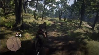 How To Ride Baylock RDR2 [upl. by Akemor]