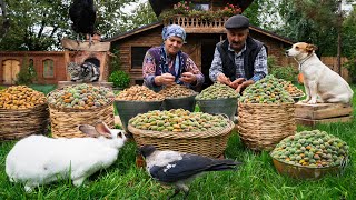 Harvesting and Baking with Fresh Almonds A Village Tradition [upl. by Yoho369]