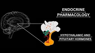 GonadotropinReleasing Hormone GnRH  AGONISTS AND ANTAGONISTS pharmacology katzung lippincot [upl. by Edora]