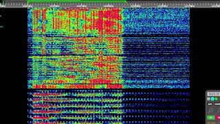 The Buzzer  4625kHz  Voice Message  20240810 [upl. by Duwad]