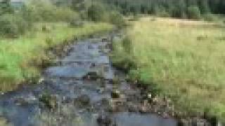 Cross Border Trail Kielder to Newcastleton and back Mountain Bike ride [upl. by Aniuqahs]