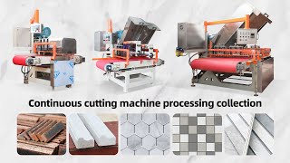 Continuous cutting machine can process ceramic tile mosaic ceramic tile strip profiling etc [upl. by Newra19]