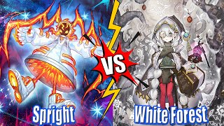 Spright Paleozoic vs White Forest  High Rated DB YuGiOh 2024 [upl. by Marita947]