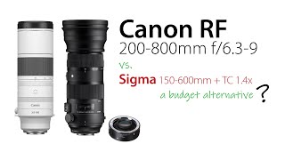 NEW Canon RF 200800 vs Sigma 150600 with TC 14x 210840mm [upl. by Vassily862]