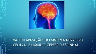 VASCULARIZAÇÃO DO SISTEMA NERVOSO CENTRAL E LÍQUIDO CÉREBRO ESPINHAL [upl. by Annaerb]