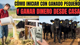 Cómo Iniciar con Ganado Pequeño y Ganar Dinero Desde Casa [upl. by Awad]