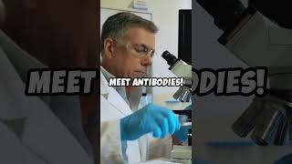 How Antibodies Protect Us 🛡️biology science antibodi [upl. by Theurich63]