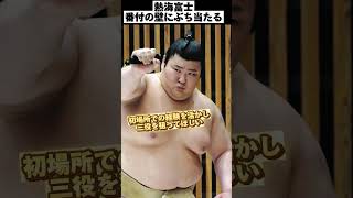 大相撲初場所 熱海富士番付の壁にぶち当たる‼️ [upl. by Emerick]