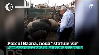 Porcul Bazna noua statuie vie pentru ministrul Agriculturii [upl. by Slrahc24]