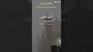 Prayer for Giveness trending duet quran love quranrecitation duaviralvideo toptrendingshorts [upl. by Conrade]