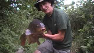 The Syndicate Part 8  Effort  Success  Carp Fishing [upl. by Yodlem703]