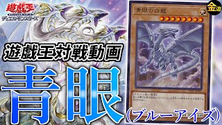 【遊戯王】ストラクで強化され環境入り！青眼ブルーアイズを紹介【金曜日の遊戯王CH】 [upl. by Ennej525]