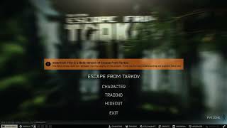 Take two quest Tarkov [upl. by Cortney]