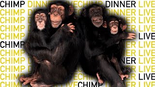 The NEW Chimp Dinner LIVE 040322 [upl. by Amsab]