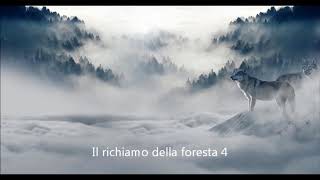 Il richiamo della foresta capitolo 4 la conquista del comando [upl. by Eirret]