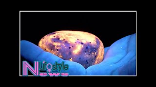 New glowing Yooperlite rocks discovered in Michigan [upl. by Lucho]