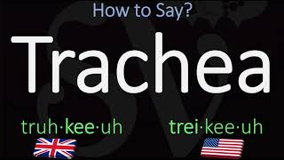 How to Pronounce Trachea British Vs American English Pronunciation [upl. by Arihday602]