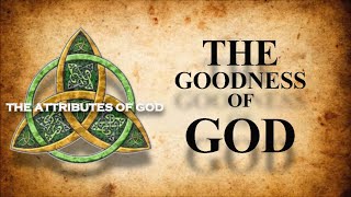 The Goodness of God  Lesson 14 [upl. by Nnyroc]