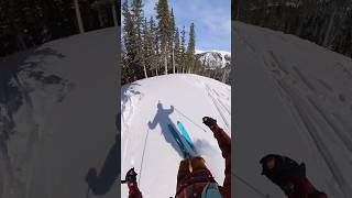 FRESH TRACKS at Arapahoe Basin  March 2024 abasin colorado skiing snow getoutside [upl. by Blayne]