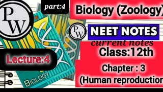 Class 12 Biology PW Class Notes 📝Zoology Chapter3Human reproductionLecture4 part 4video [upl. by Andreas]