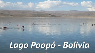 LAGO POOPÓ EPISODIO 38 DESDE LOS ANDES CON MELODÍAS DLACM MMG E0038 [upl. by Chadd]