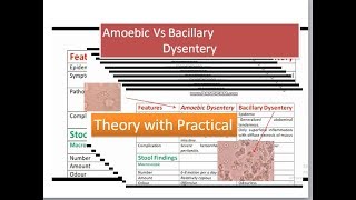 Amoebic Dysentery versus bacillary dysentery [upl. by Llenrahc]