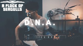 A Flock of Seagulls  DNA Guitar Cover [upl. by Gavan]