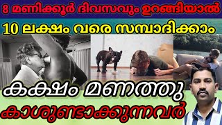 8 മണിക്കൂർ ഉറങ്ങി 10 ലക്ഷം സമ്പാദിക്കാം  bed tester job  armpit sniffer  Shafi talks [upl. by Airdnna949]