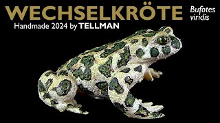 Wechselkröte Bufotes viridis realistisches 2024 handmade Modell von TellMan  Unboxing [upl. by Inasah806]