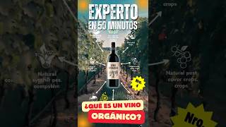 ¿Qué Son Los Vinos ORGÁNICOS Saber de Vinos en 50 MINUTOS  Tutorial de VINOS [upl. by Alston]