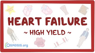 Heart failure Pathology review [upl. by Gabi407]