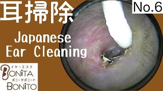 Cozy Japanese Ear Cleaning 6 [upl. by Eceerahs969]