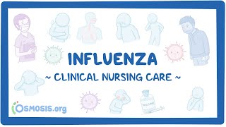 Influenza Clinical Nursing Care [upl. by Lubet164]