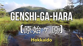 Wild Wednesdays Genshigahara Hokkaido  Hiking in Japan [upl. by Elma]