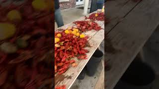 Crawfish Boil Cajun Cuisine Swamp People Louisiana Bayou cajun seafood [upl. by Artemas180]