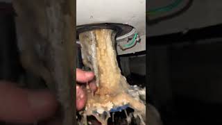 This is a Comercial water heater element that has gone bad [upl. by Lower693]