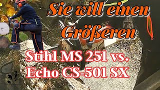 Motorsägenvergleich  Stihl MS 251  Echo CS501 SX  Die Sägen fürs Bäume fällen [upl. by Akema]